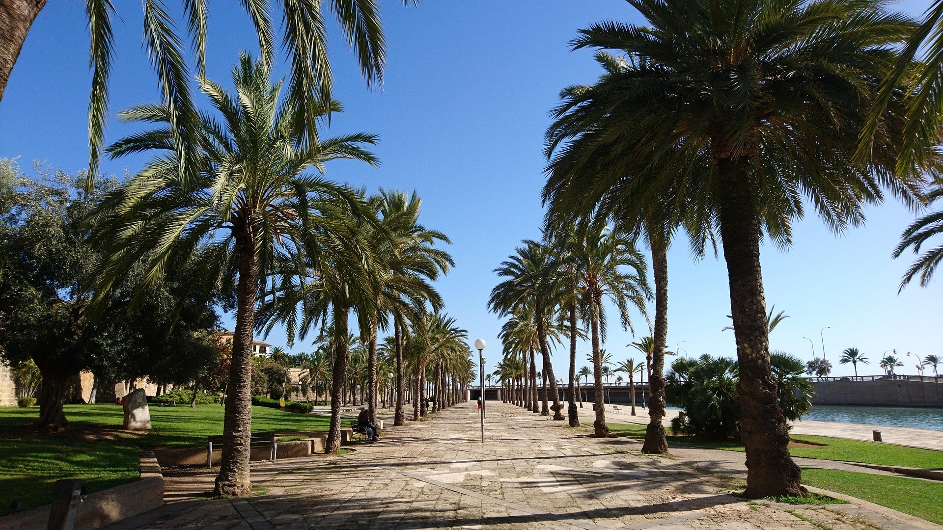 Balearic waterfront light